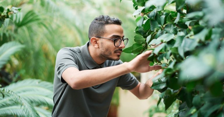 12 Home Garden Tips That Actually Make Your Plants Thrive - Featured image