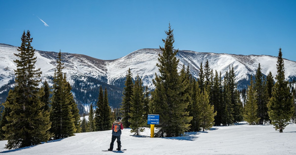 Snowboarder on a snowy mountain slope with a clear blue sky and pine trees.