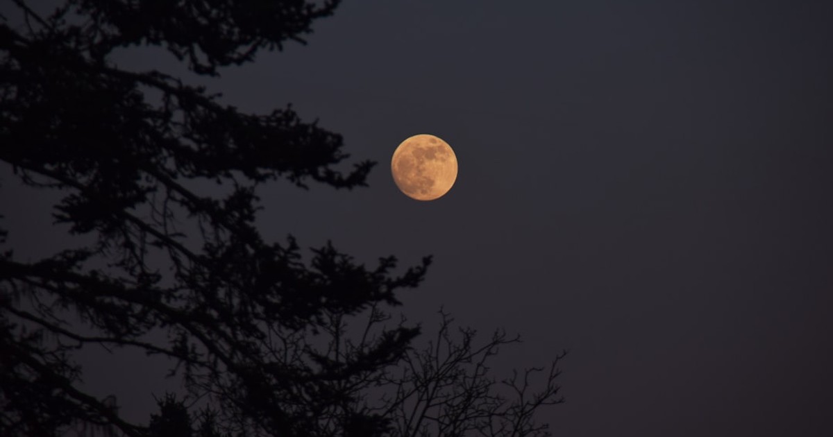 lunar eclipse at night