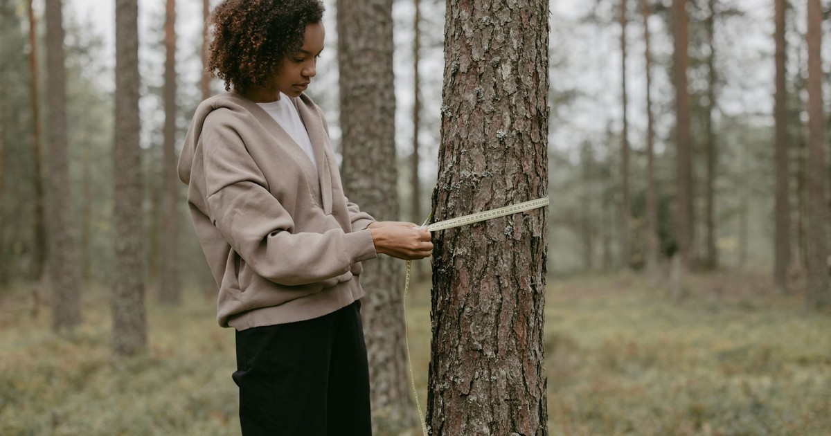 A young woman in a forest measuring the trunk of a tree with a tape measure.