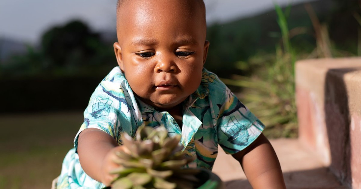 Adorable baby explores the outdoors, fascinated by a potted succulent plant under sunny skies.