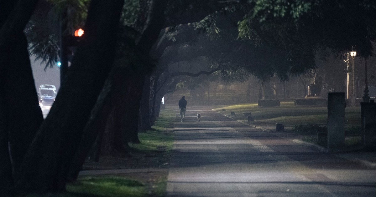 A person walks their dog on a dimly lit park road, surrounded by trees at night.