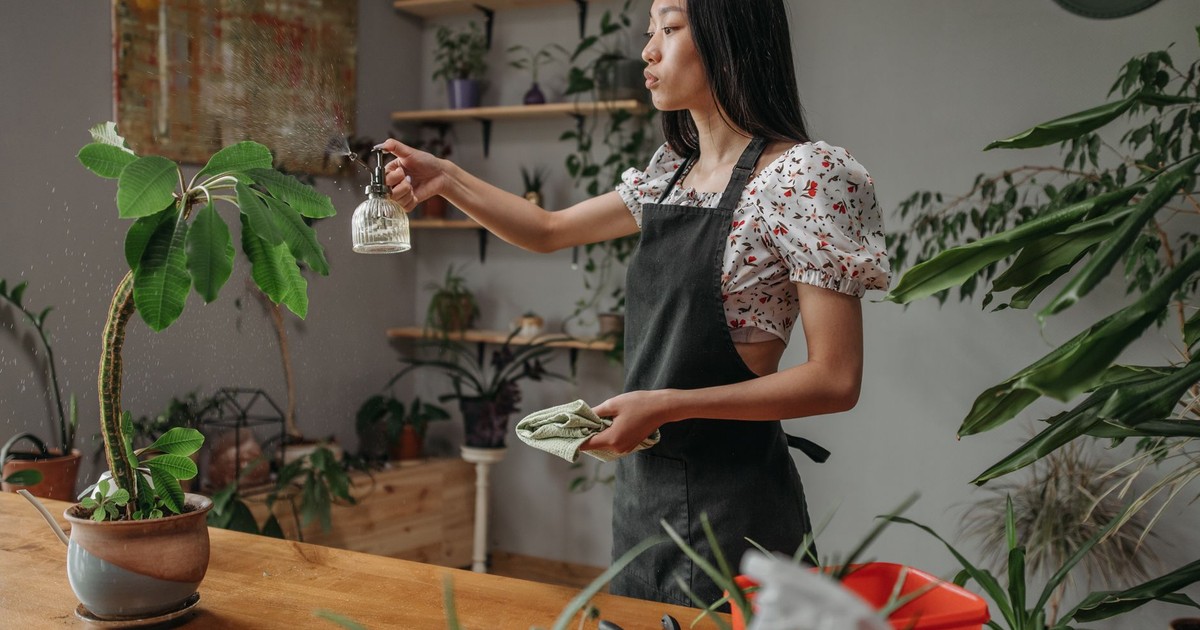 Woman in apron sprays potted plants indoors with care and focus.