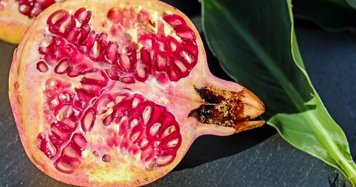 pomegranate