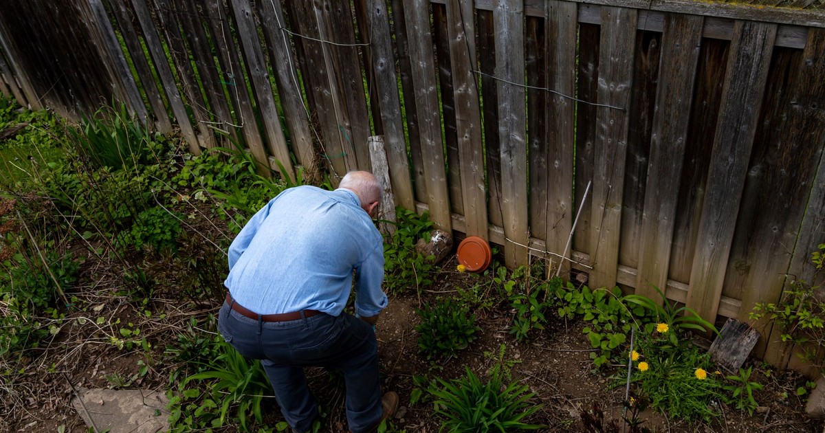 These Are the Gardening Myths Experts Wish More People Would Stop Believing