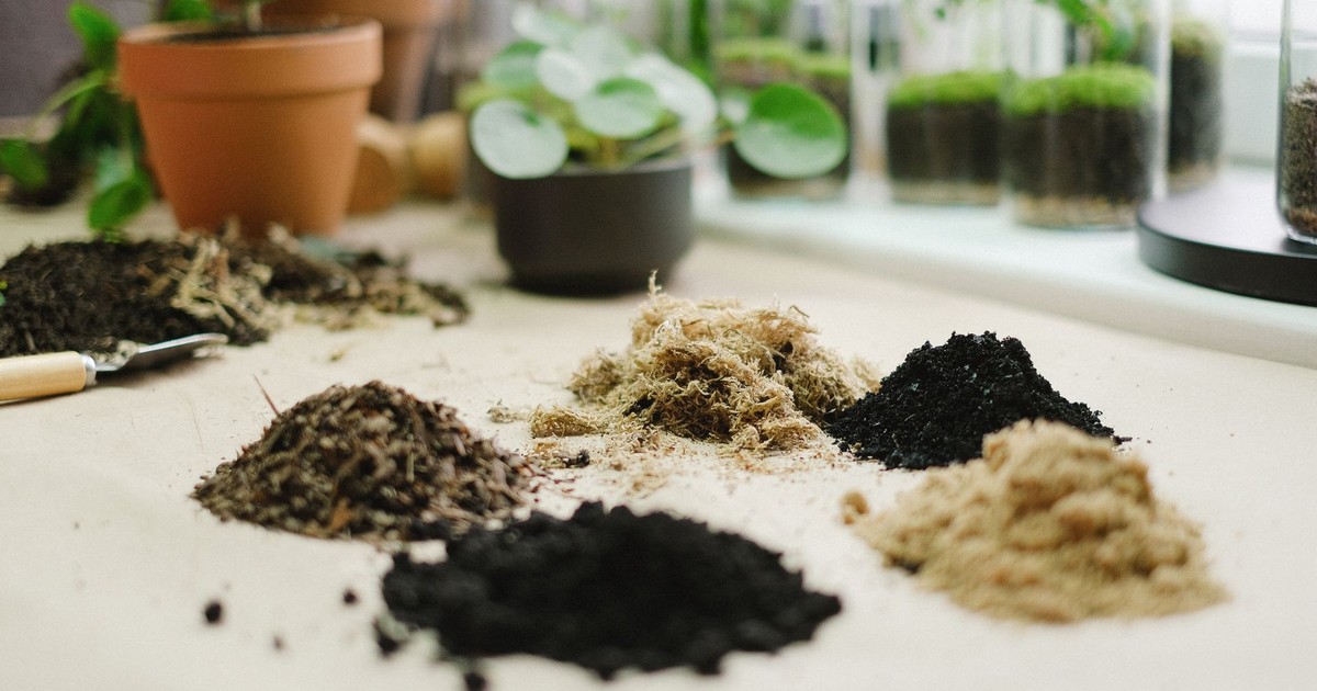 Various soil types arranged on a table surrounded by potted plants, ideal for garden enthusiasts.