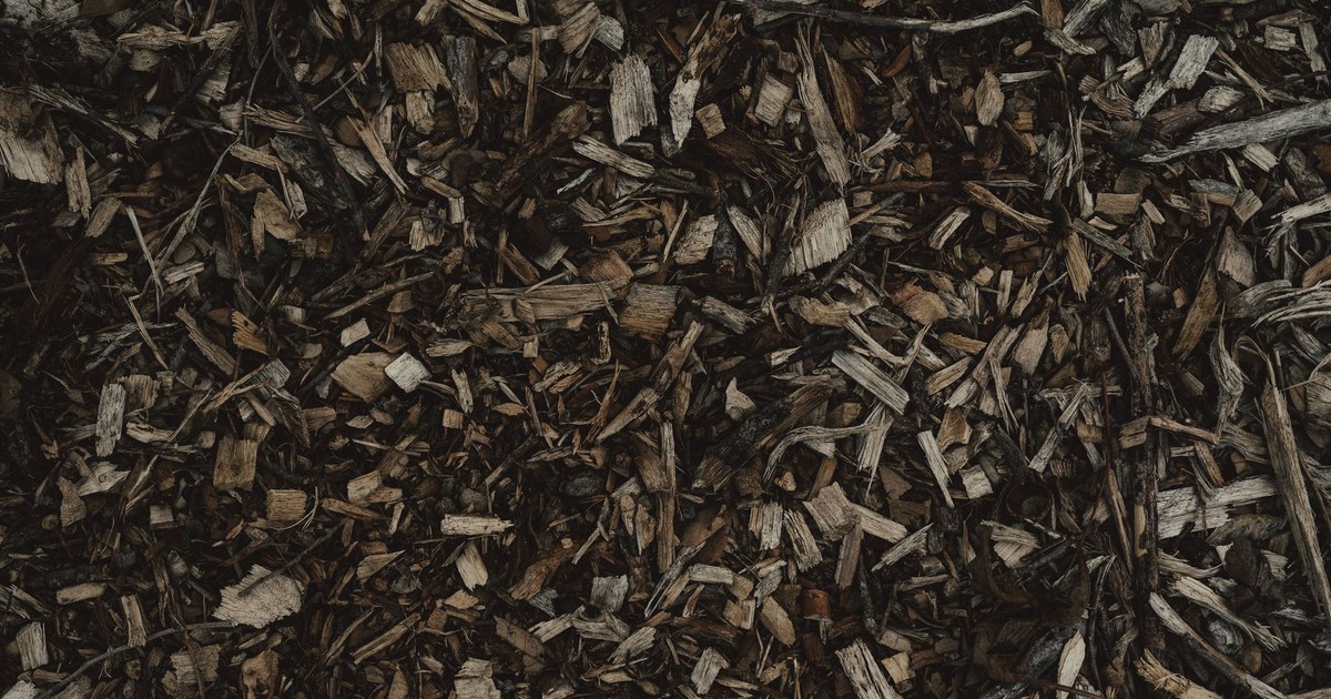 Detailed view of a natural wood chips texture, perfect for backgrounds or eco-themed designs.