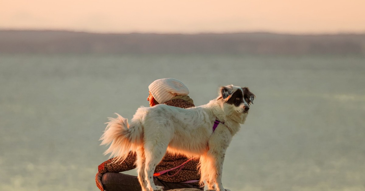 Woman with her dog sitting on the shore, watching the sunset together.