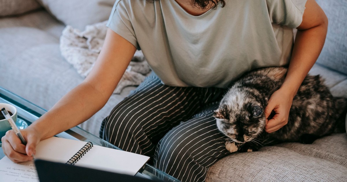 Crop anonymous cheerful female with fluffy spotted cat smiling and taking notes in notebook at table with laptop