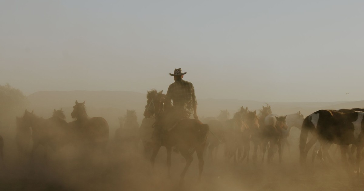 A cowboy in silhouette rides through dust, leading a herd of horses across a dusty pasture.