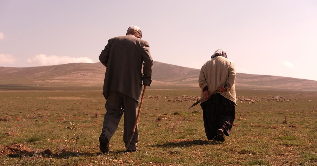 Two senior adults walking through a vast open field under a clear sky, embodying connection with nature.