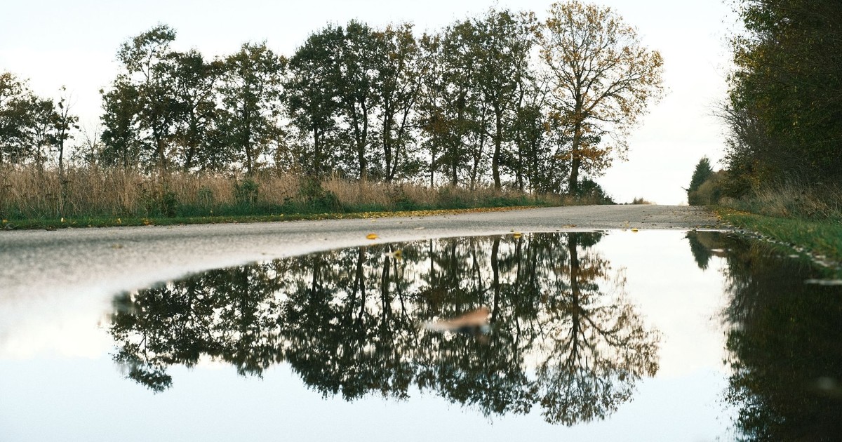 Calm reflections of trees on a clear day in a puddle by the roadside.