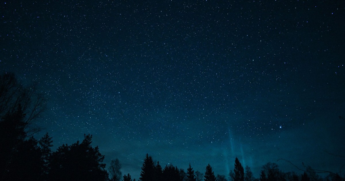 A tranquil night sky filled with stars above silhouetted trees, perfect for serene and peaceful scenes.