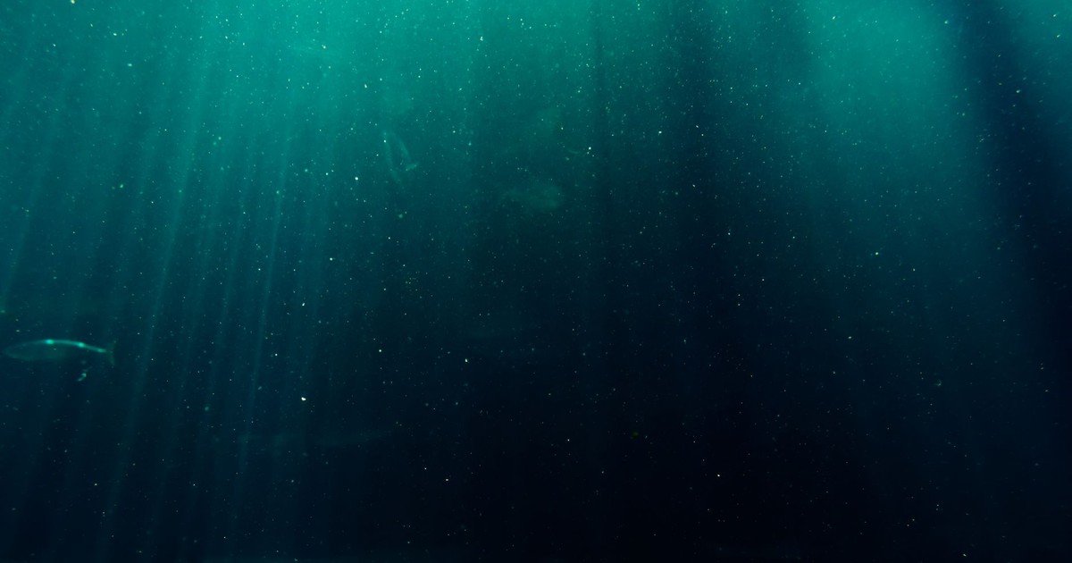 Explore the captivating underwater scene with mesmerizing sunlight rays penetrating the deep sea.