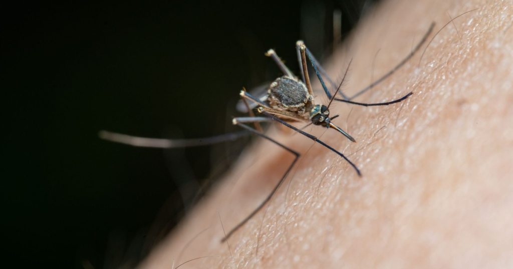Stop Scratching That Bug Bite — Here’s What to Do Instead - Featured image