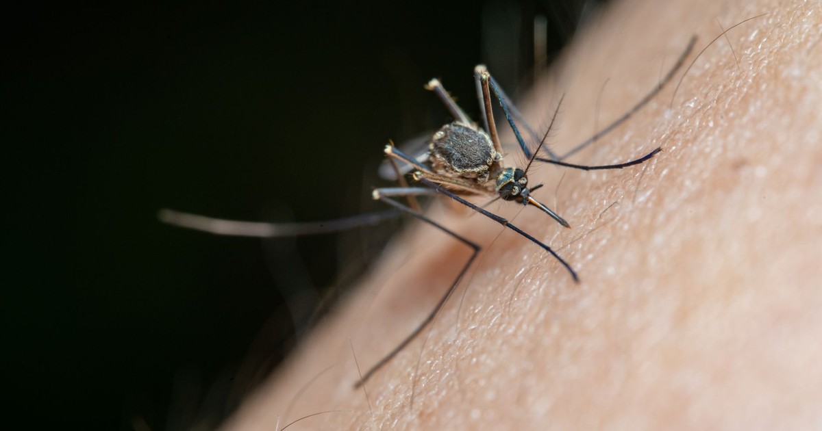 Stop Scratching That Bug Bite — Here’s What to Do Instead