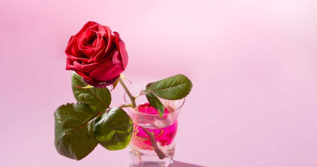 7 Things All Florists Do Before Putting Flowers in a Vase (Keep Your Blooms Fresh) - Featured image