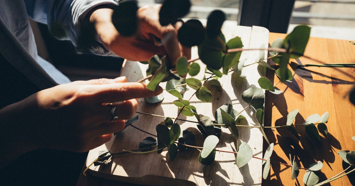 Hands arranging Eucalyptus leaves on a wooden board in sunlight, indoors.