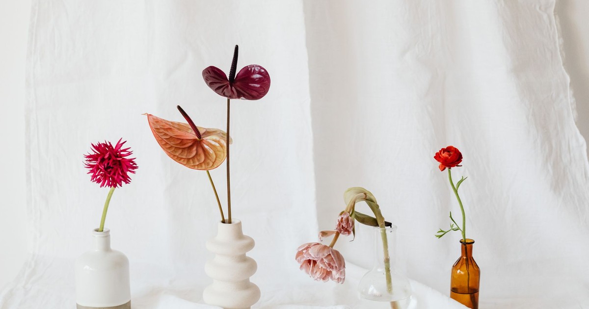 Stylish still life of diverse flowers in unique vases on a white backdrop.