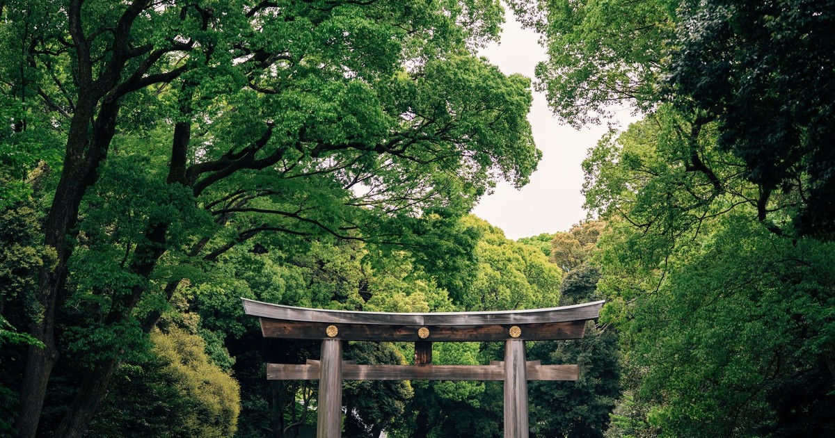 A serene view of a traditional Torii gate in Tokyo's vibrant forest setting, capturing nature's tranquility.