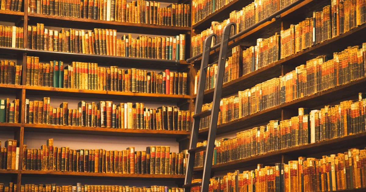 A cozy library corner with tall wooden bookshelves and a movable ladder.