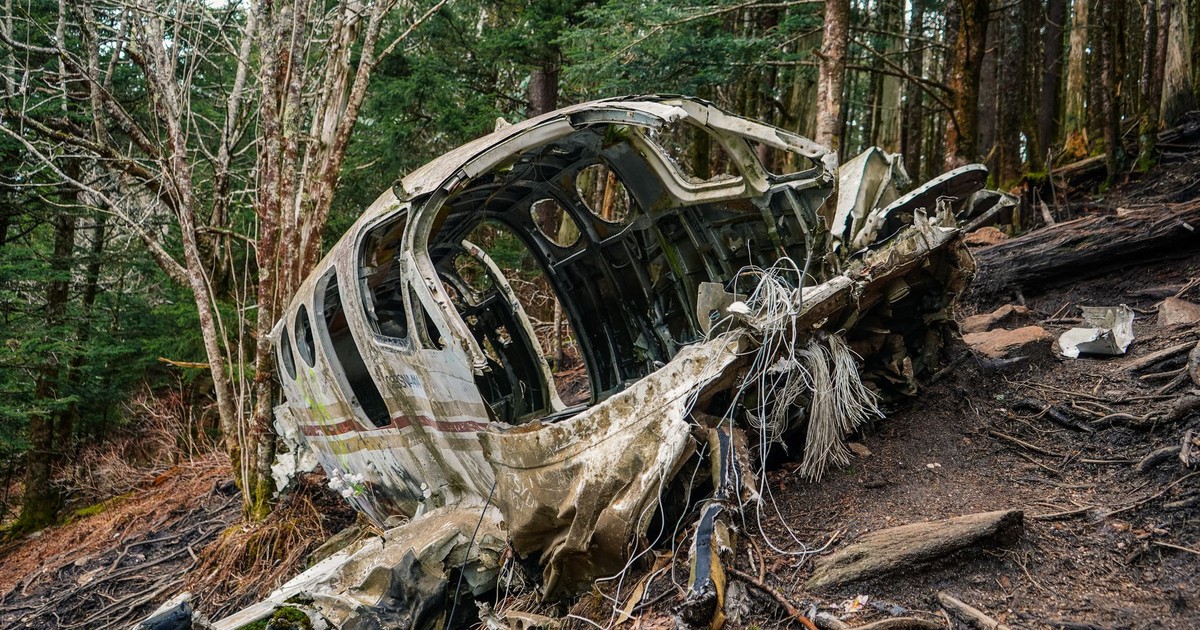 Abandoned aircraft wreckage amidst trees in a forest, showing decay and nature's reclamation.