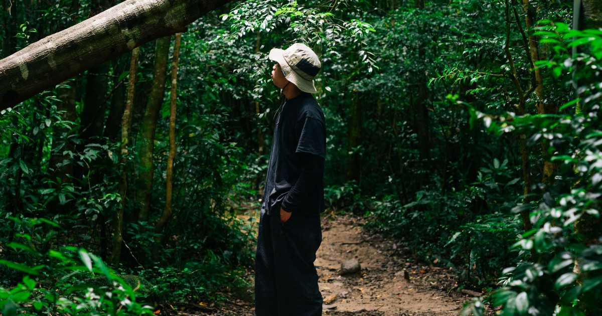 A man in casual attire standing under trees in the vibrant forest of Xuan Huong, Da Lat, Vietnam.