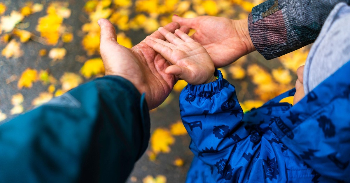 Top view of adults and child hand in autumn park, symbolizing family bond.