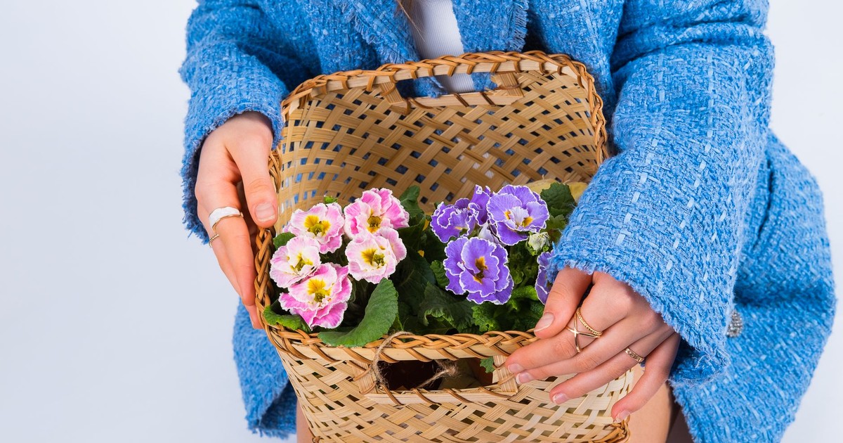 A woman holding a woven basket filled with colorful primroses, wearing a blue blazer.
