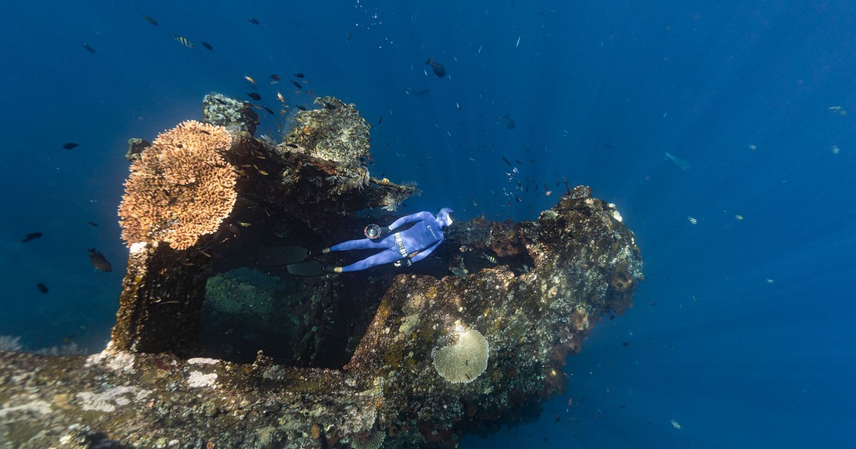 Diver exploring a coral-covered shipwreck in clear blue ocean waters.