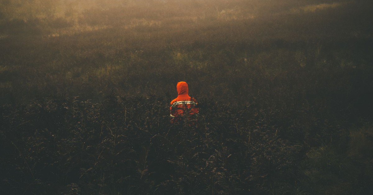 Captivating image of a lone person in a foggy field wearing a bright hoodie, creating a sense of solitude.