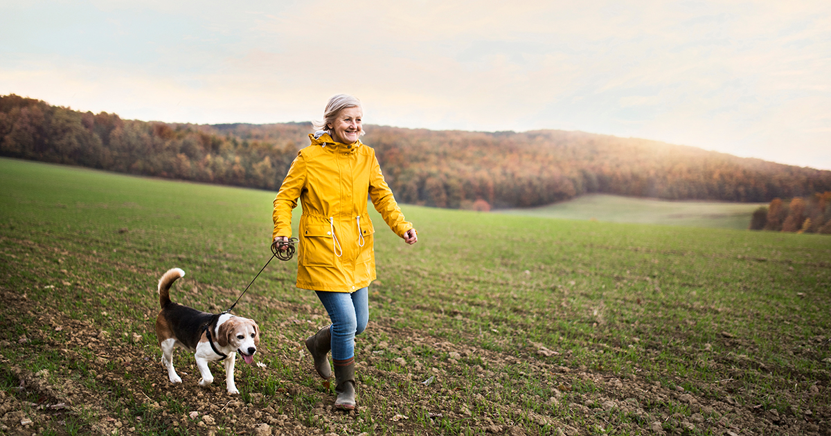 12 Dog Breeds That May Not Be the Best Fit for Seniors