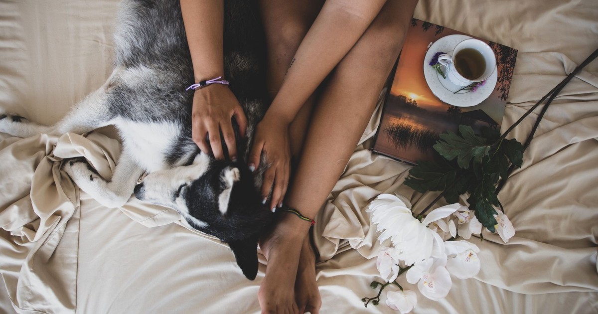 A tranquil morning scene with a person relaxing with a dog on a bed, sipping coffee.
