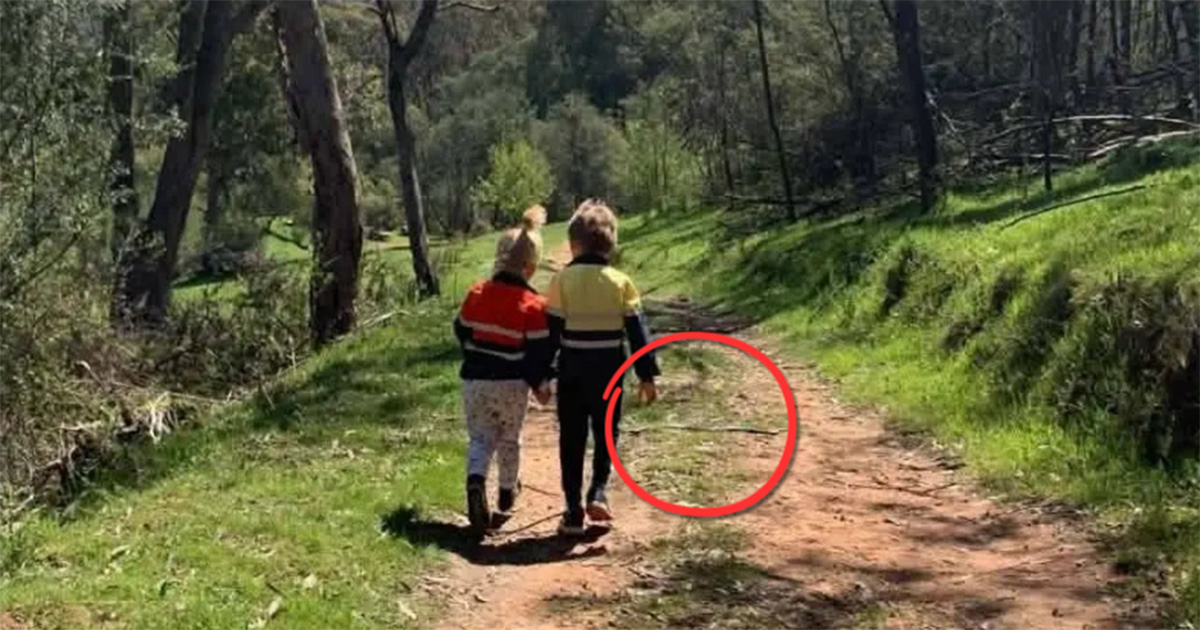 eastern brown snake near children on path