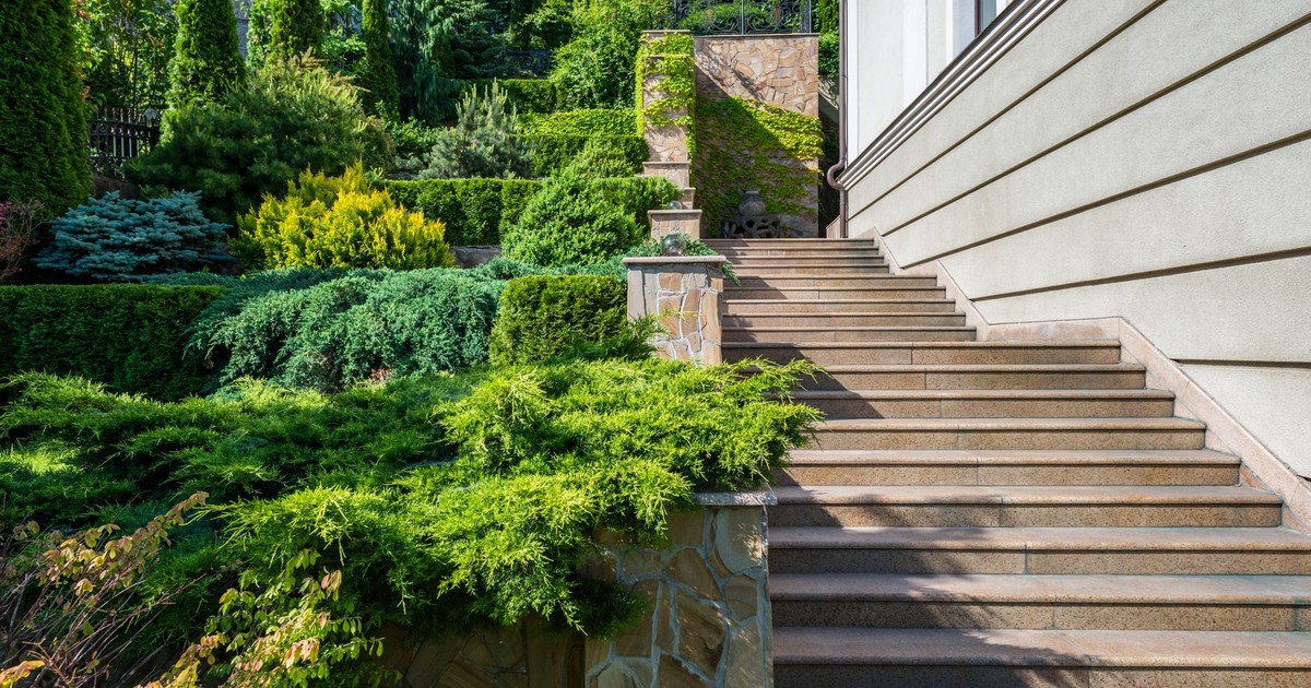 Large modern house with yard surrounded with bushes and trees with fresh verdant foliage