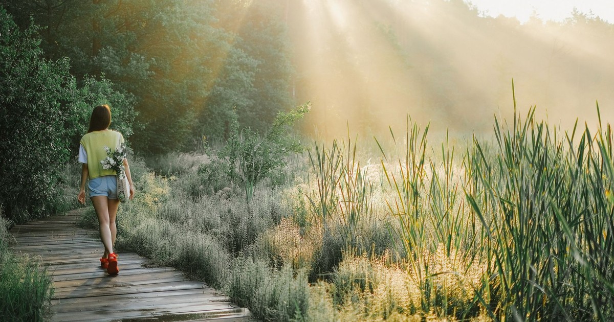 A woman enjoys a peaceful walk on a wooden path in a sunlit forest, surrounded by lush greenery.