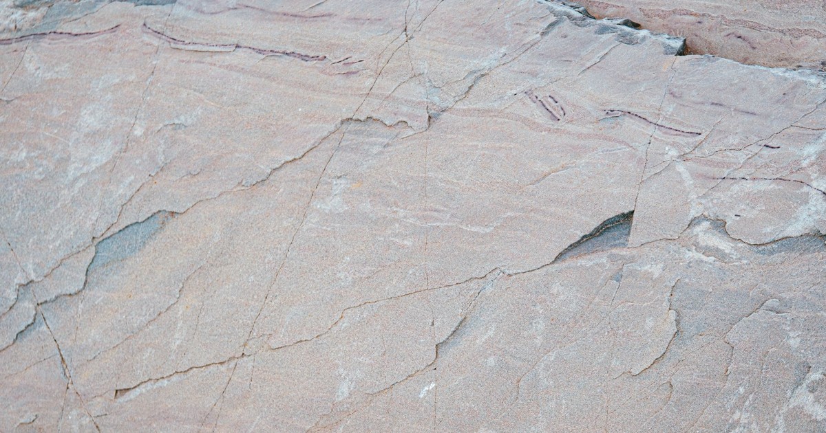 Close-up of a textured stone surface showcasing natural patterns and geological formations.