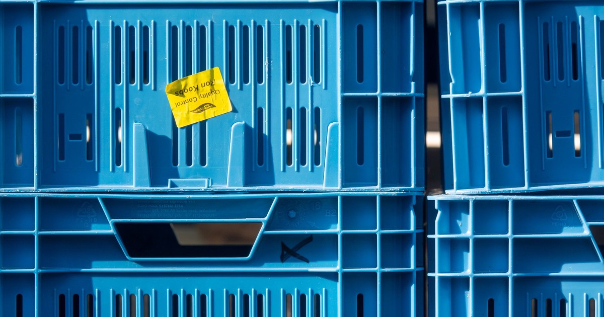 Close-up of stacked blue plastic crates with a quality control label.