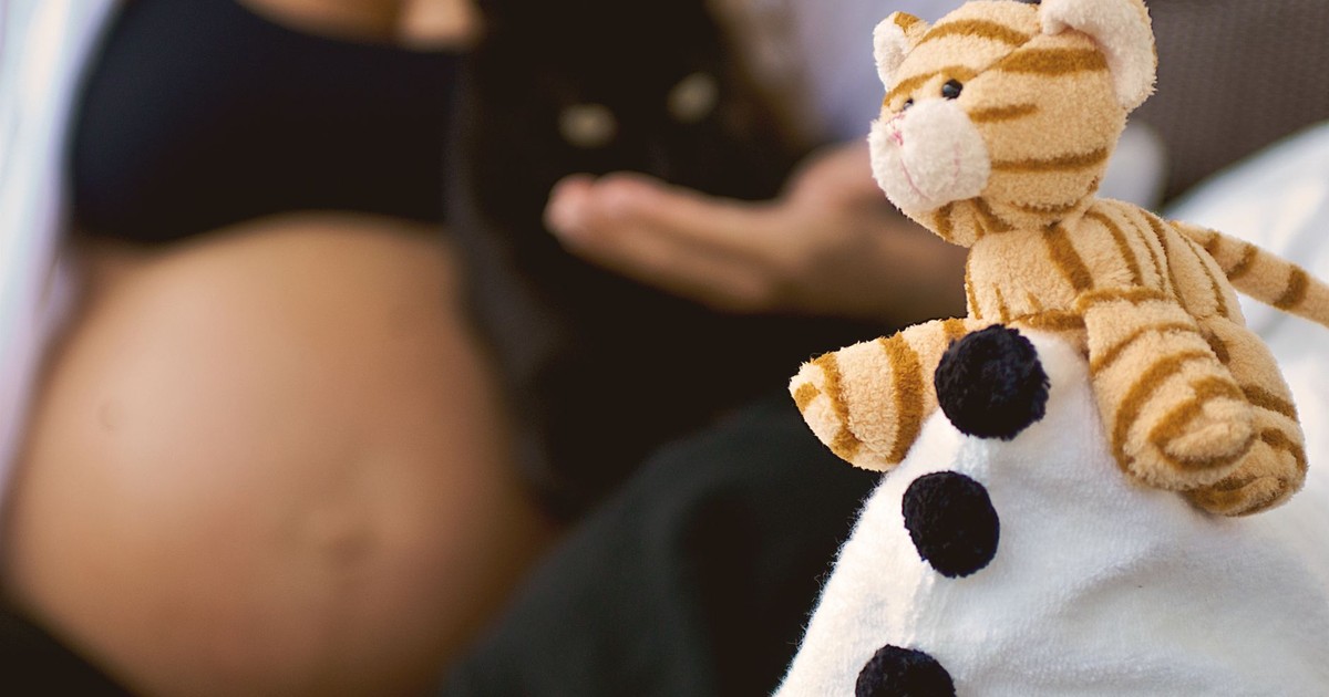 Pregnant woman relaxing with a cat and plush toy, symbolizing maternal warmth and anticipation.