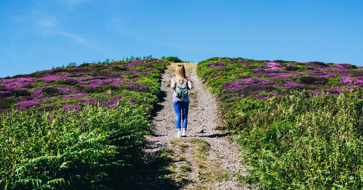A woman with a backpack hikes along a scenic lavender path under a clear blue sky.