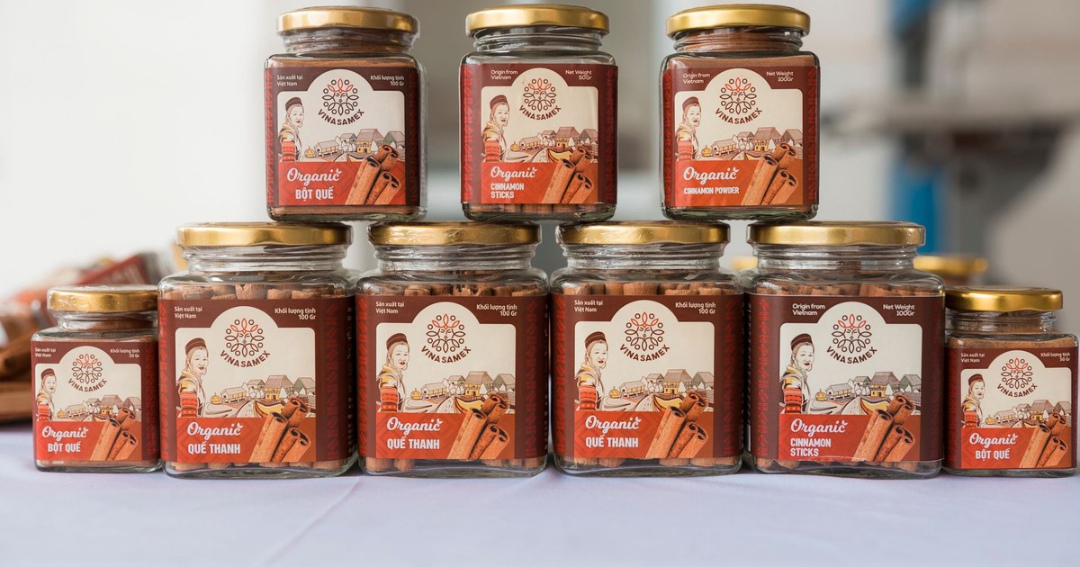 Organized display of organic cinnamon jars in glass containers on a table.
