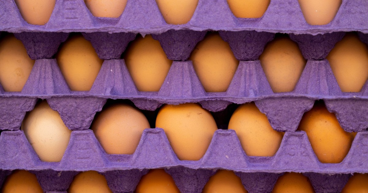 Vibrant brown eggs neatly stacked in purple egg trays for food packaging insight.
