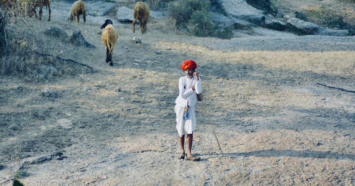 A shepherd in traditional attire with sheep on a sunny countryside terrain.