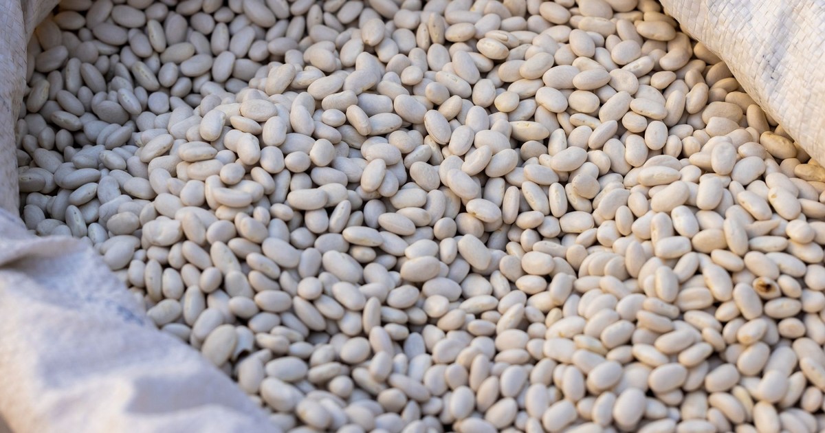 Close-up of raw navy beans in a sack, highlighting their texture and natural color.