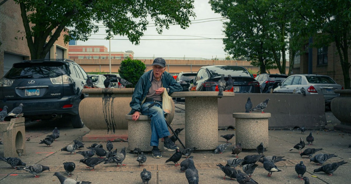 Senior man feeds pigeons outdoors by city street, surrounded by parked cars.