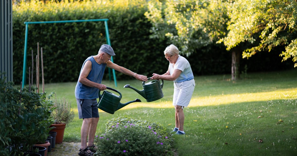 Elderly couple enjoying gardening and watering plants on a sunny day.
