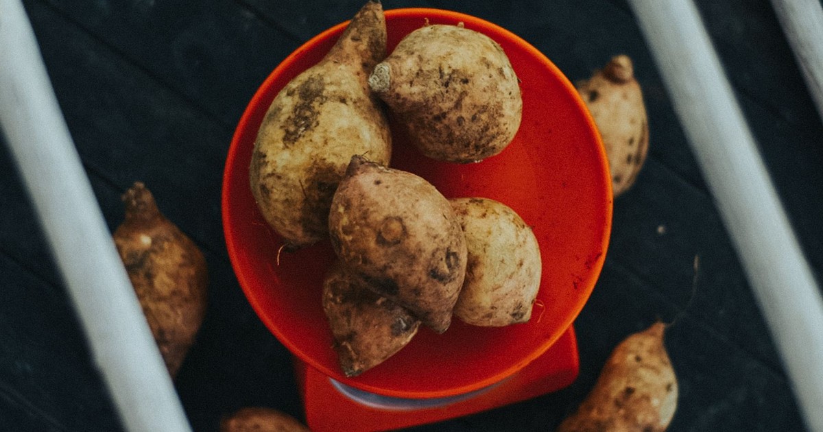 Top view of sweet potatoes on a red plate, perfect for healthy food concepts.