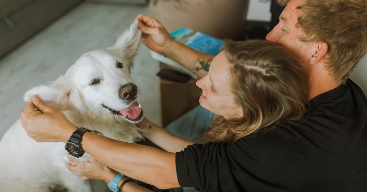 A loving couple embraces their happy Golden Retriever in a cozy indoor setting, capturing warmth and affection.