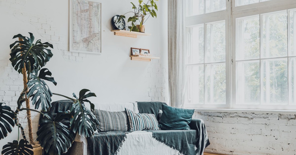 Bright and modern living room featuring monstera plants and cozy decor.