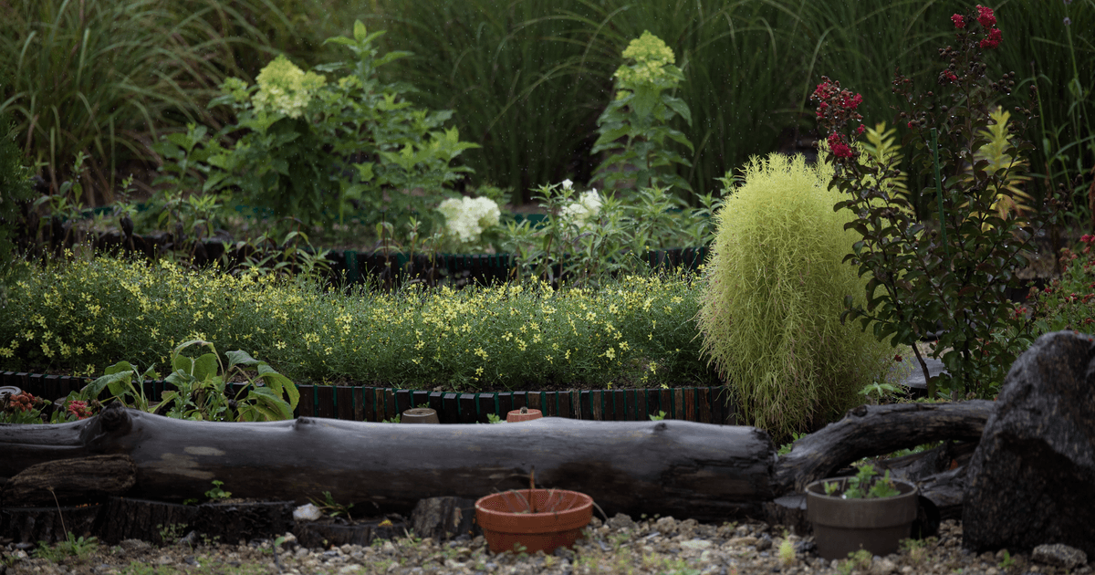 Serene garden landscape with various plants, flowers, and decorative logs.